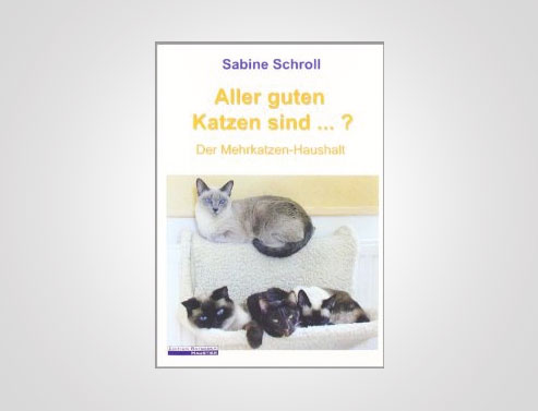 Aller guten Katzen sind …