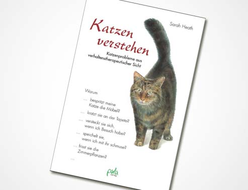 Katzen verstehen