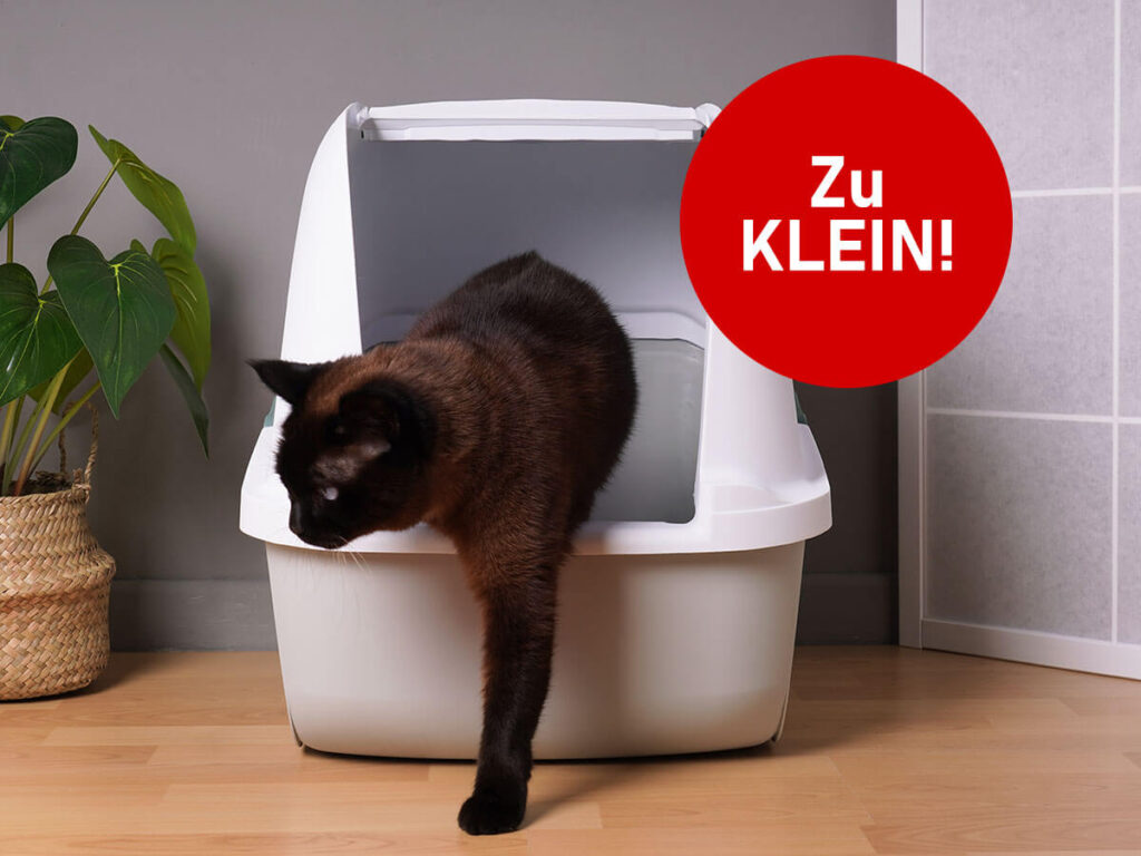 Katzenklo zu klein