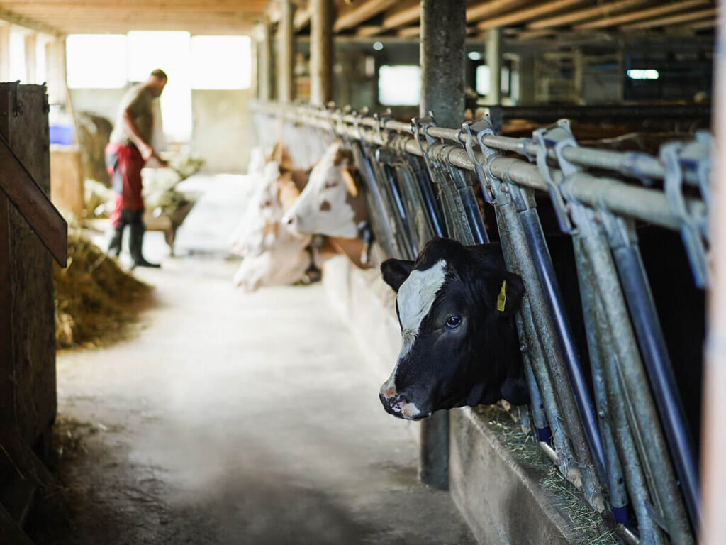 Tierschutz